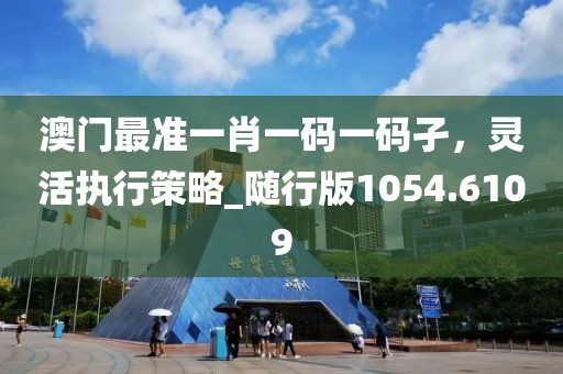 澳门最准一肖一码一码孑，灵活执行策略_随行版1054.6109