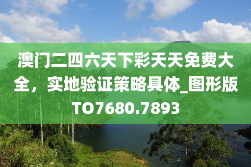 澳门二四六天下彩天天免费大全，实地验证策略具体_图形版TO7680.7893