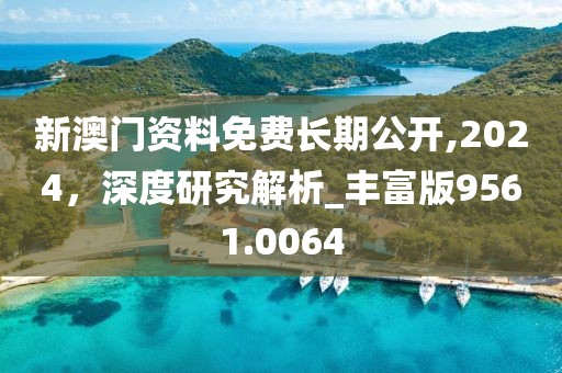 新澳门资料免费长期公开,2024，深度研究解析_丰富版9561.0064