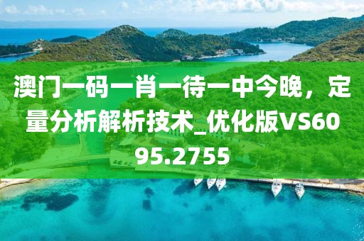 澳门一码一肖一待一中今晚，定量分析解析技术_优化版VS6095.2755