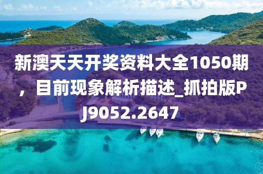 新澳天天开奖资料大全1050期，目前现象解析描述_抓拍版PJ9052.2647