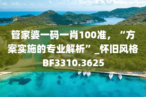 管家婆一码一肖100准，“方案实施的专业解析”_怀旧风格BF3310.3625