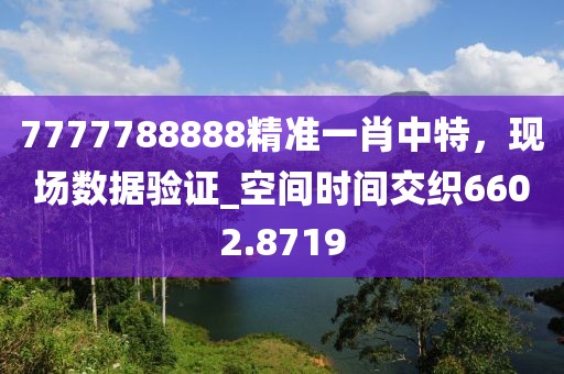 7777788888精准一肖中特，现场数据验证_空间时间交织6602.8719