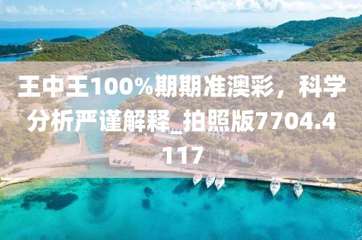 王中王100%期期准澳彩，科学分析严谨解释_拍照版7704.4117