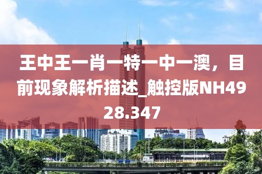 王中王一肖一特一中一澳，目前现象解析描述_触控版NH4928.347