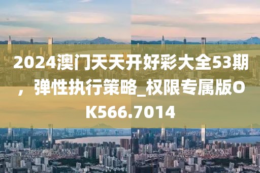 2024澳门天天开好彩大全53期，弹性执行策略_权限专属版OK566.7014