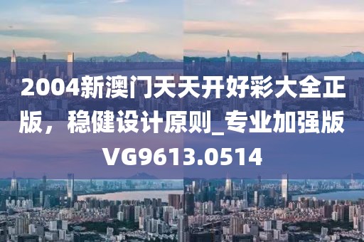 2004新澳门天天开好彩大全正版，稳健设计原则_专业加强版VG9613.0514