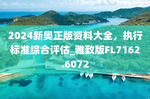 2024新奥正版资料大全，执行标准综合评估_雅致版FL7162.6072