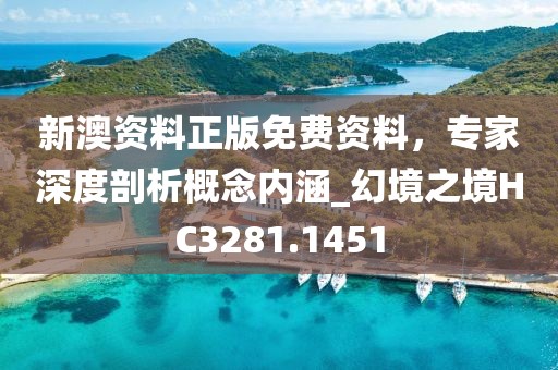 新澳资料正版免费资料，专家深度剖析概念内涵_幻境之境HC3281.1451