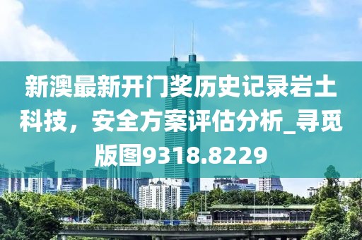 新澳最新开门奖历史记录岩土科技，安全方案评估分析_寻觅版图9318.8229