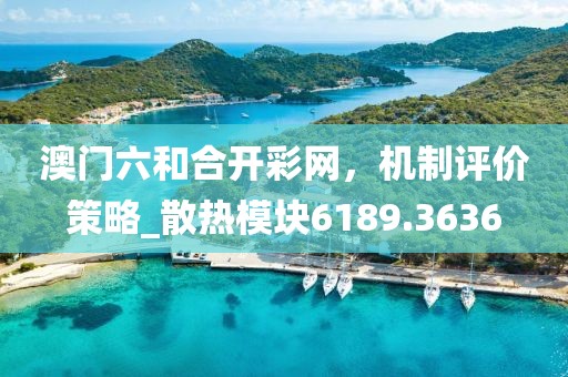 澳门六和合开彩网，机制评价策略_散热模块6189.3636
