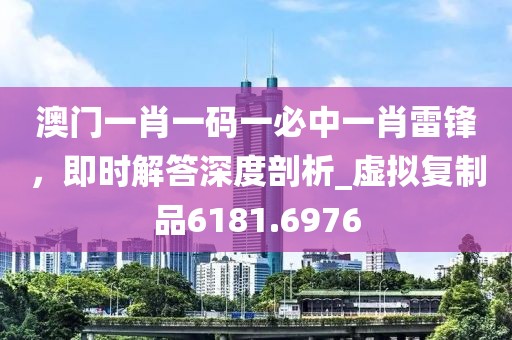 澳门一肖一码一必中一肖雷锋，即时解答深度剖析_虚拟复制品6181.6976
