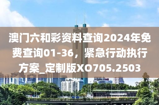 澳门六和彩资料查询2024年免费查询01-36，紧急行动执行方案_定制版XO705.2503