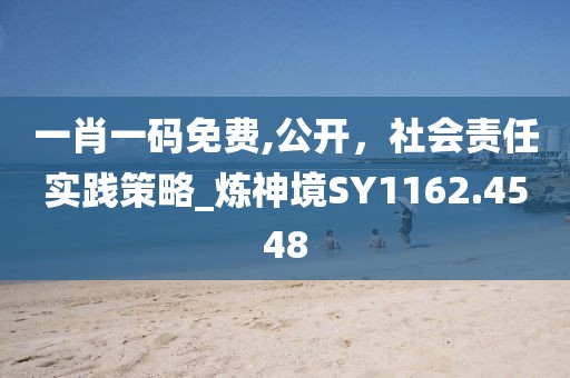 一肖一码免费,公开，社会责任实践策略_炼神境SY1162.4548