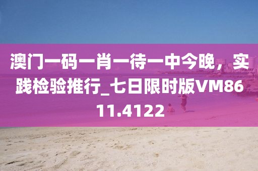 澳门一码一肖一待一中今晚，实践检验推行_七日限时版VM8611.4122