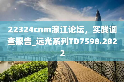 22324cnm濠江论坛，实践调查报告_远光系列TD7598.2822