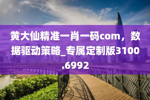 黄大仙精准一肖一码com，数据驱动策略_专属定制版3100.6992