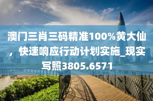 澳门三肖三码精准100%黄大仙，快速响应行动计划实施_现实写照3805.6571