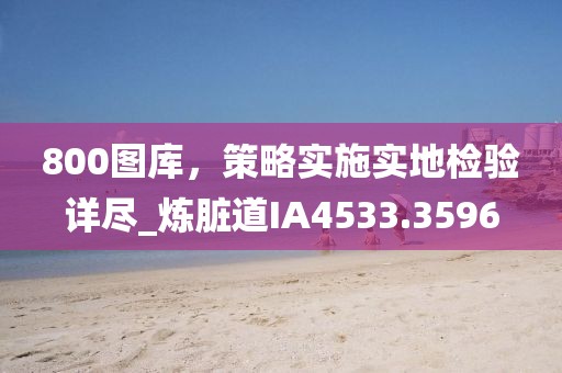800图库，策略实施实地检验详尽_炼脏道IA4533.3596
