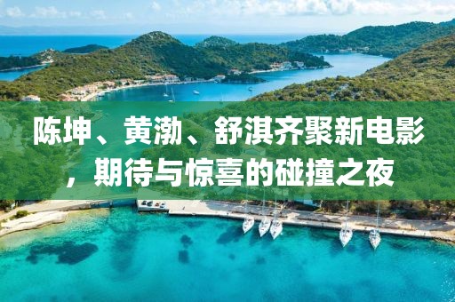 陈坤、黄渤、舒淇齐聚新电影，期待与惊喜的碰撞之夜