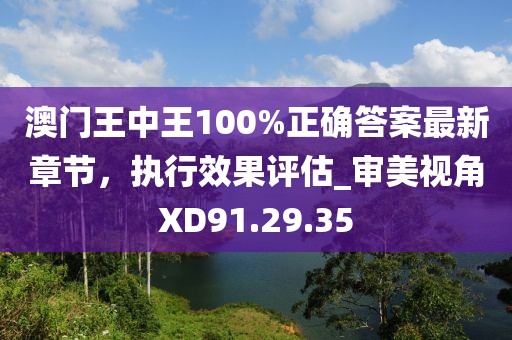澳门王中王100%正确答案最新章节，执行效果评估_审美视角XD91.29.35