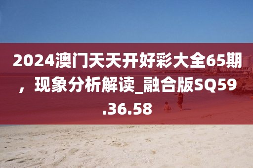2024澳门天天开好彩大全65期，现象分析解读_融合版SQ59.36.58
