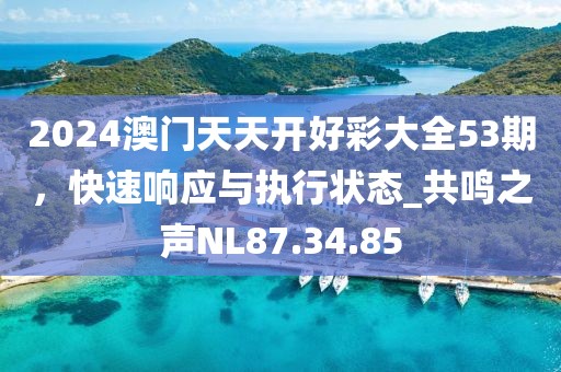 2024澳门天天开好彩大全53期，快速响应与执行状态_共鸣之声NL87.34.85