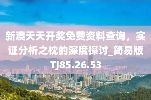 新澳天天开奖免费资料查询，实证分析之枕的深度探讨_简易版TJ85.26.53
