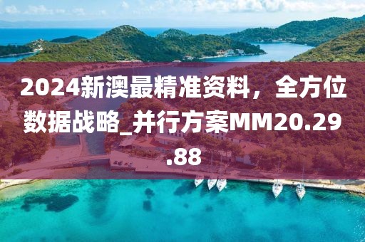 2024新澳最精准资料，全方位数据战略_并行方案MM20.29.88