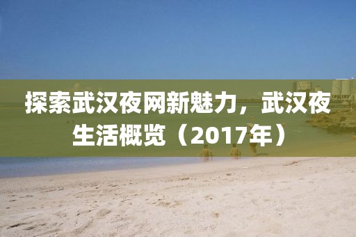 探索武汉夜网新魅力，武汉夜生活概览（2017年）