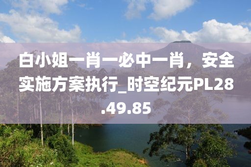 白小姐一肖一必中一肖，安全实施方案执行_时空纪元PL28.49.85