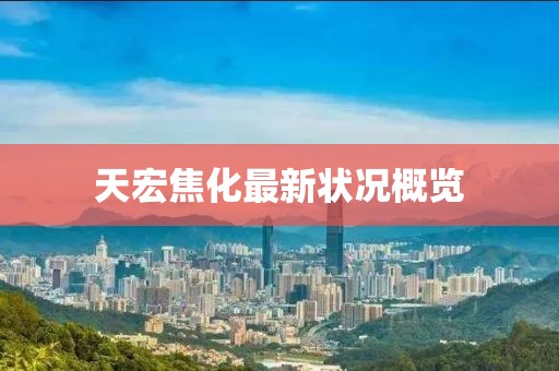 天宏焦化最新状况概览