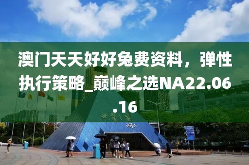 澳门天天好好兔费资料，弹性执行策略_巅峰之选NA22.06.16