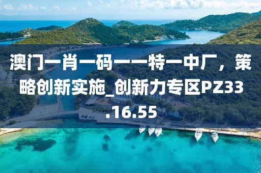 澳门一肖一码一一特一中厂，策略创新实施_创新力专区PZ33.16.55