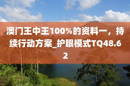 澳门王中王100%的资料一，持续行动方案_护眼模式TQ48.62
