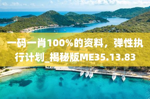 一码一肖100%的资料，弹性执行计划_揭秘版ME35.13.83