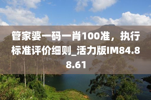 管家婆一码一肖100准，执行标准评价细则_活力版IM84.88.61