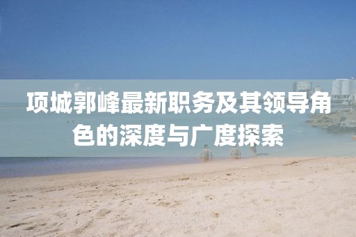 项城郭峰最新职务及其领导角色的深度与广度探索
