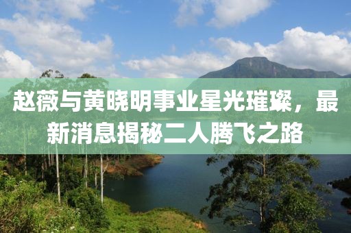 赵薇与黄晓明事业星光璀璨，最新消息揭秘二人腾飞之路