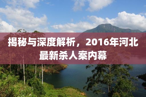 揭秘与深度解析，2016年河北最新杀人案内幕