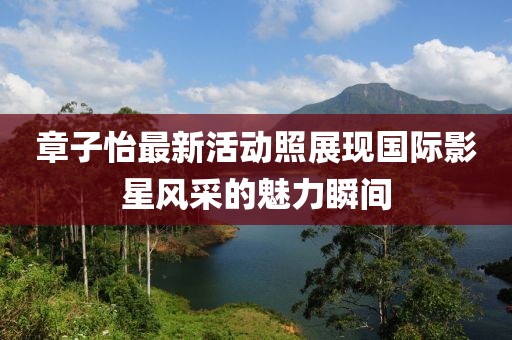 章子怡最新活动照展现国际影星风采的魅力瞬间