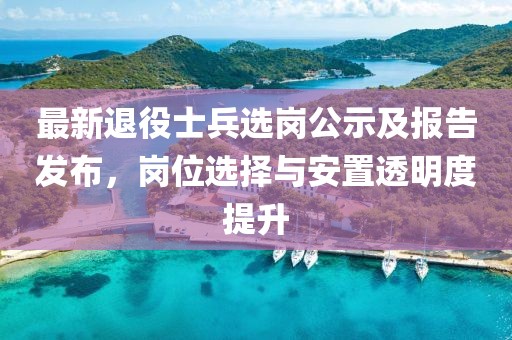 最新退役士兵选岗公示及报告发布，岗位选择与安置透明度提升