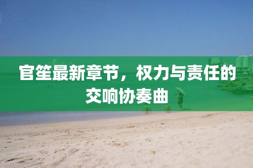 官笙最新章节，权力与责任的交响协奏曲