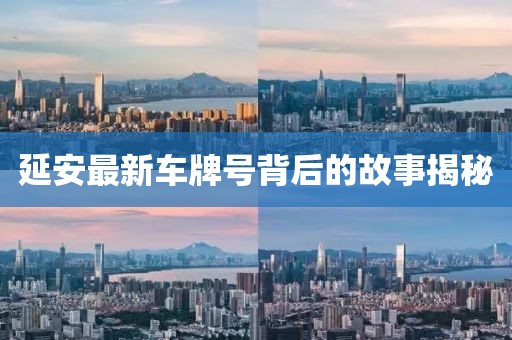 延安最新车牌号背后的故事揭秘