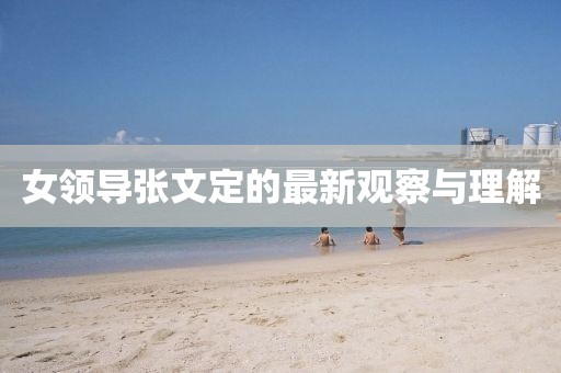女领导张文定的最新观察与理解