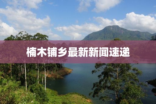 楠木铺乡最新新闻速递
