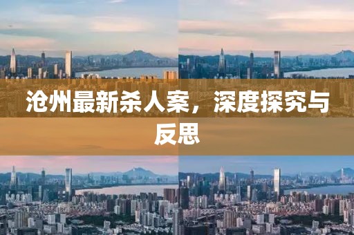 沧州最新杀人案，深度探究与反思