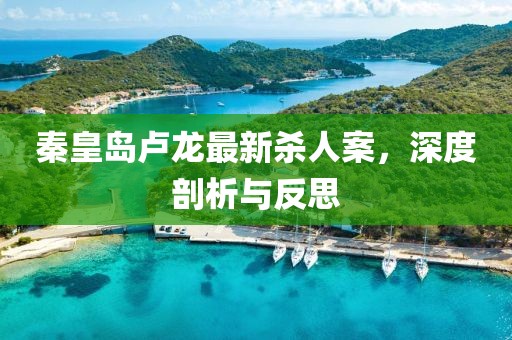 秦皇岛卢龙最新杀人案，深度剖析与反思