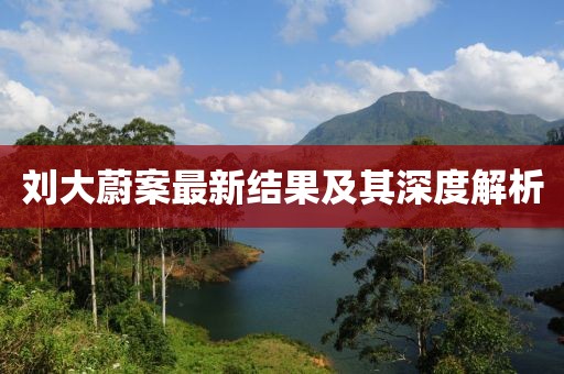 刘大蔚案最新结果及其深度解析