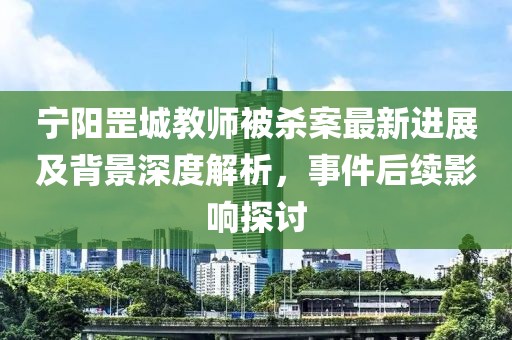 宁阳罡城教师被杀案最新进展及背景深度解析，事件后续影响探讨